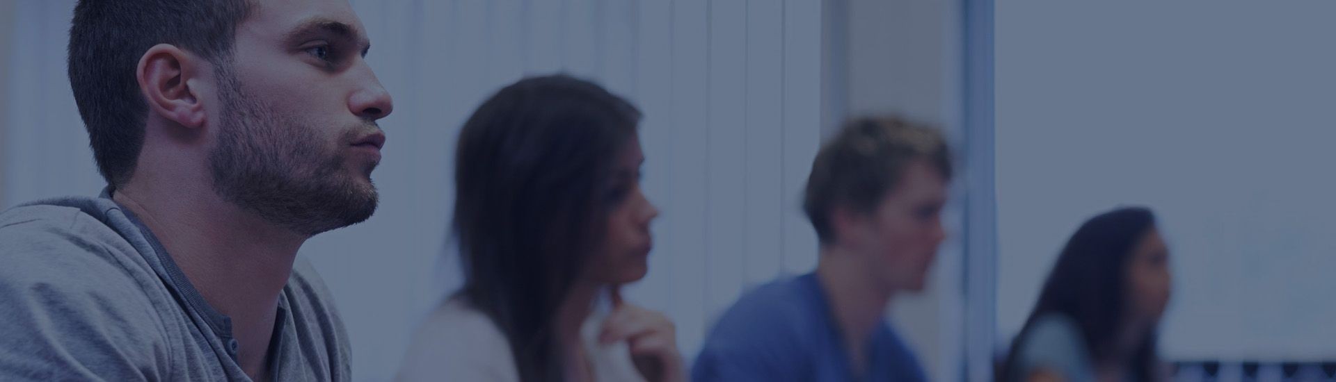 Aenean vehicula vehicula aliquam