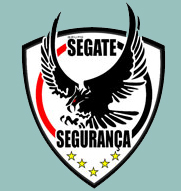 Comissão de segurança